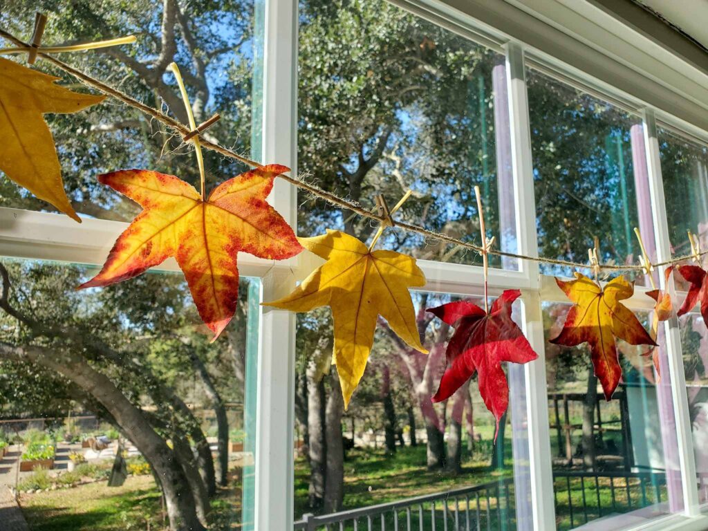 a garland of fall leaves in vibrant shades. of red, yellow, and orange hung from a window. The leaves have been dipped in beeswax and attached to a jute rope with mini clothespins.